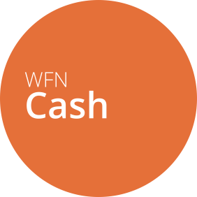 WFN Cash - presupuesto financiero